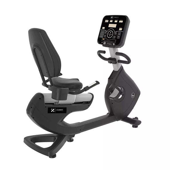 Recumbent Bike