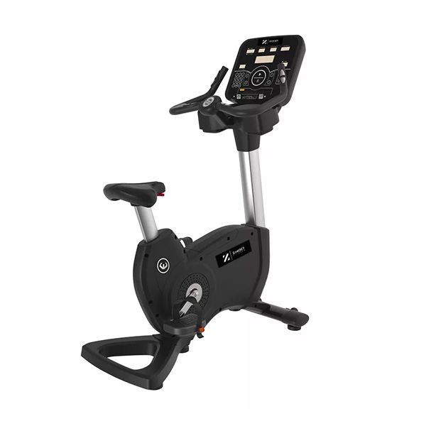 Upright Recumbent Bike